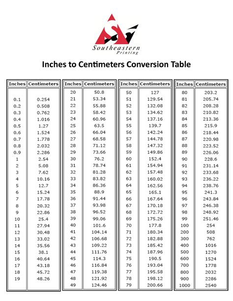 162.5 cm in feet|162.5 cm to feet converter